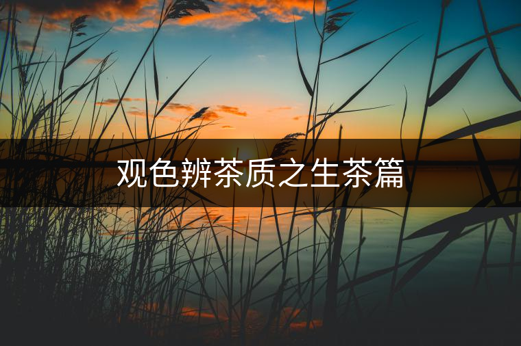 觀色辨茶質(zhì)之生茶篇