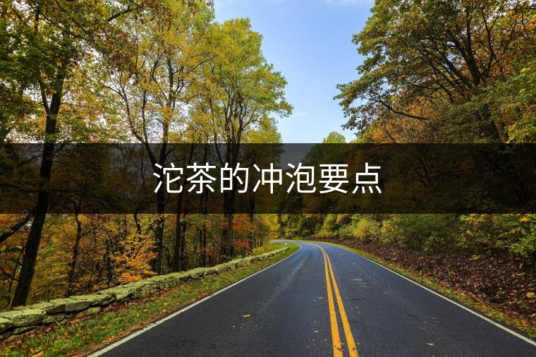沱茶的沖泡要點