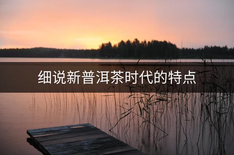 細(xì)說新普洱茶時代的特點(diǎn)