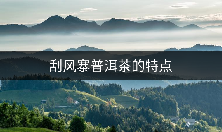 刮風(fēng)寨普洱茶的特點(diǎn)
