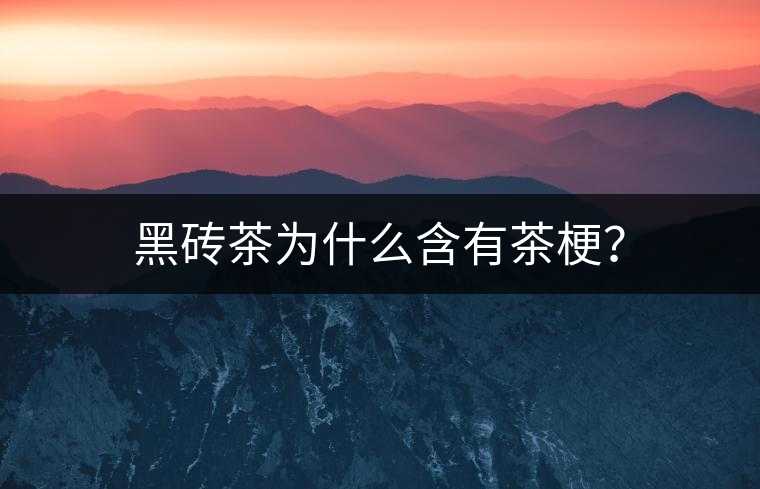 黑磚茶為什么含有茶梗？