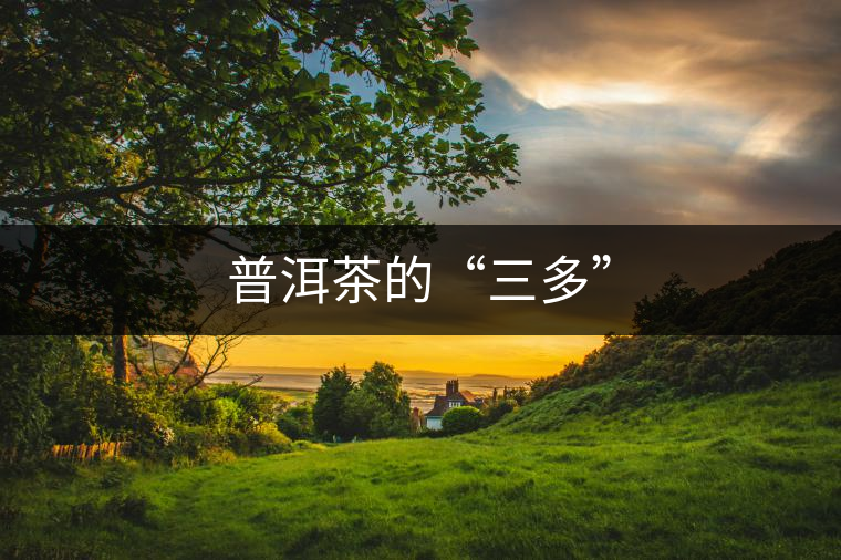 普洱茶的“三多”