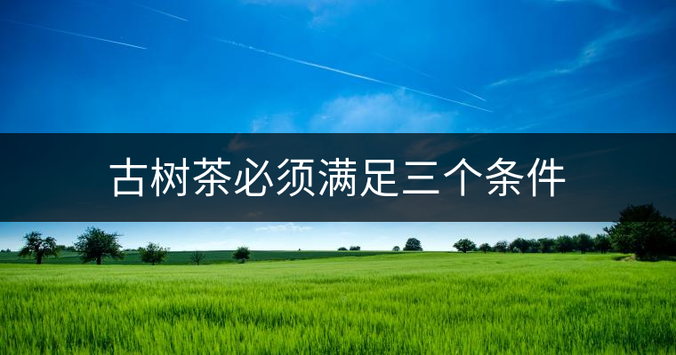 古樹茶必須滿足三個(gè)條件