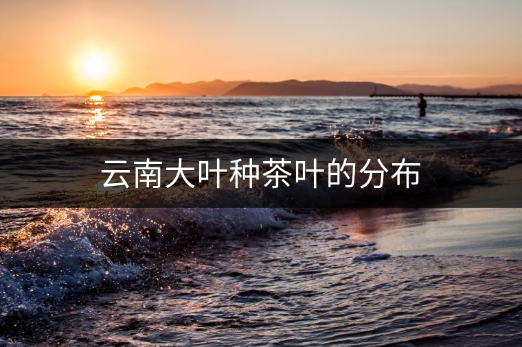 云南大葉種茶葉的分布 云南大葉種茶葉的分布