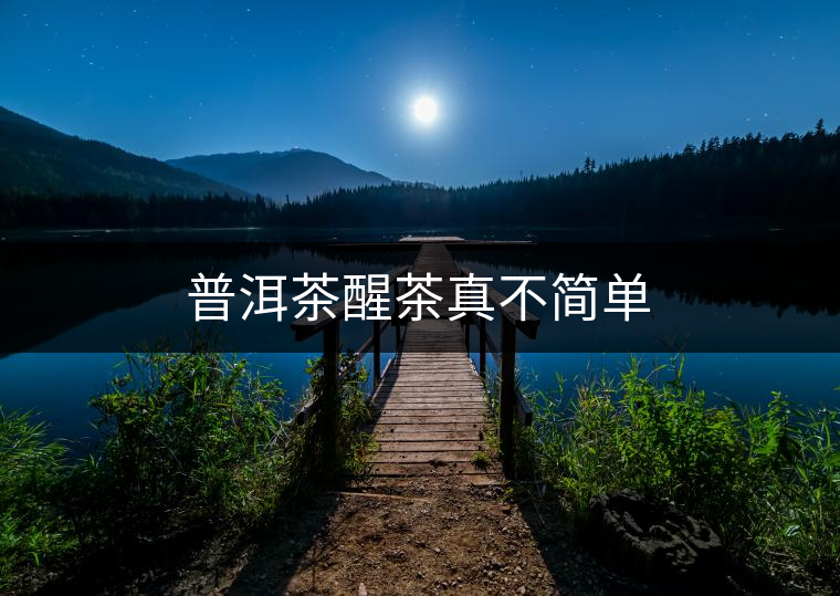 普洱茶醒茶真不簡單