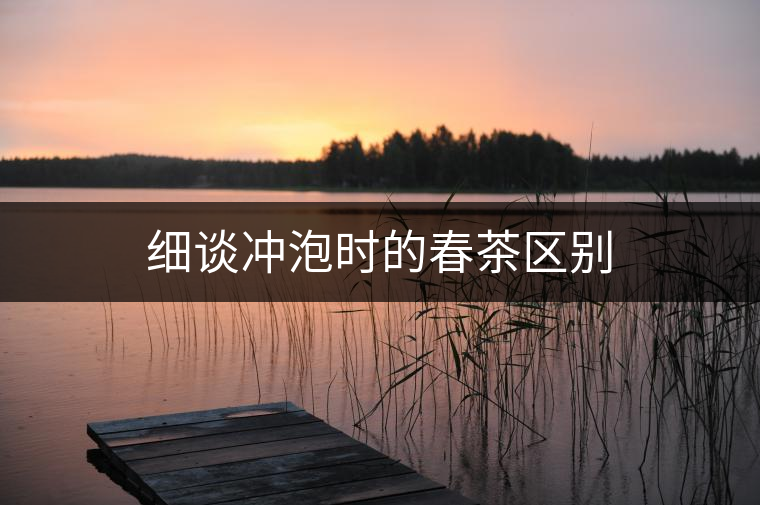 細(xì)談沖泡時(shí)的春茶區(qū)別