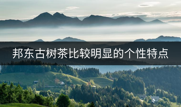 邦東古樹茶比較明顯的個性特點(diǎn)