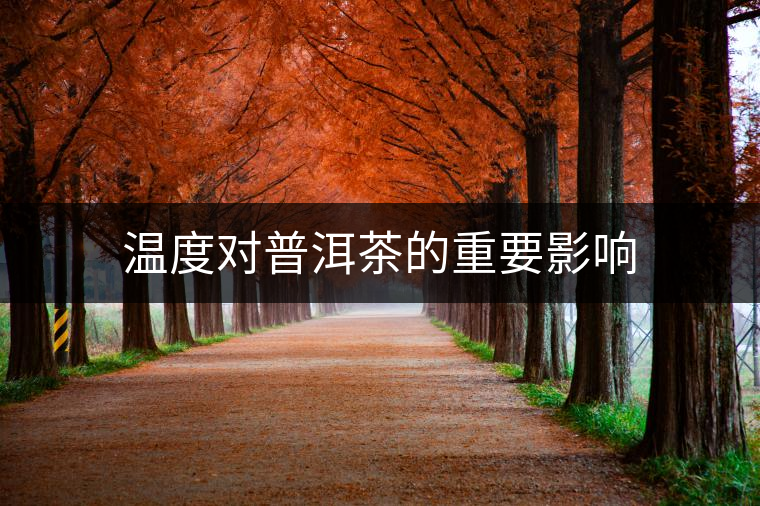 溫度對(duì)普洱茶的重要影響