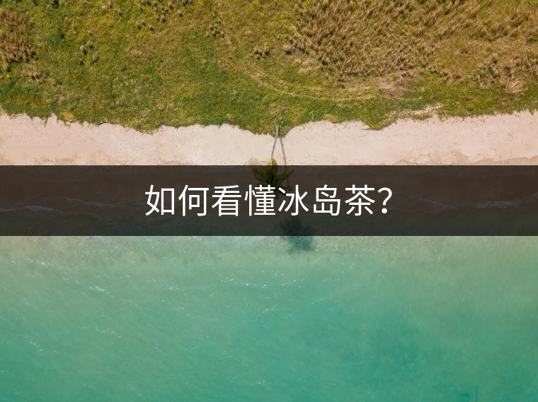 如何看懂冰島茶？