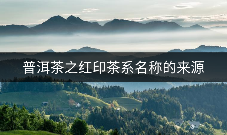 普洱茶之紅印茶系名稱的來源