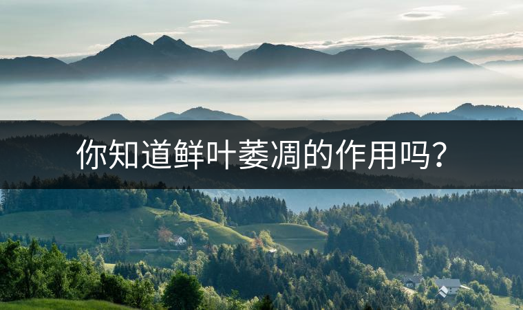 你知道鮮葉萎凋的作用嗎？