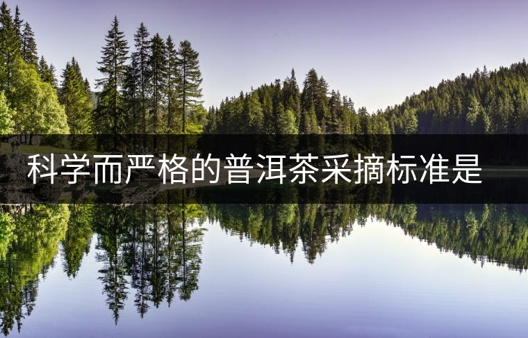 科學而嚴格的普洱茶采摘標準是優(yōu)質(zhì)原料的保證