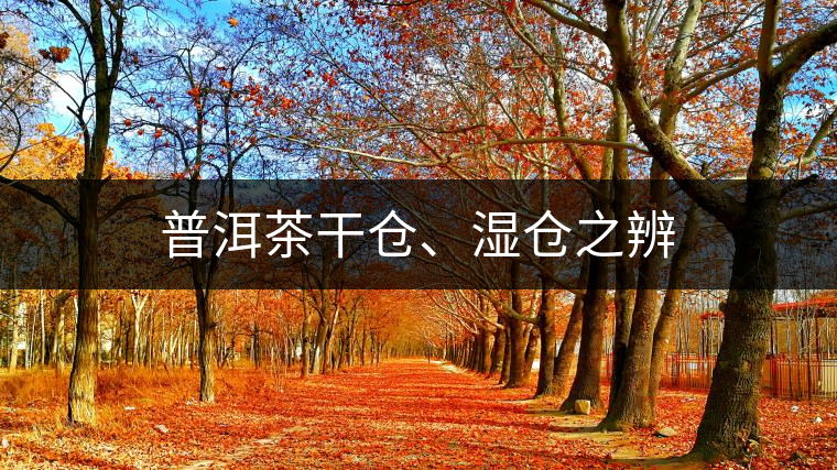 普洱茶干倉、濕倉之辨