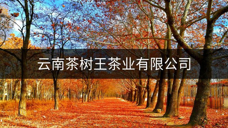 云南茶樹王茶業(yè)有限公司