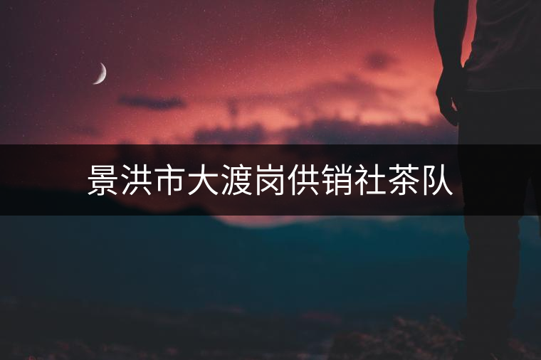 景洪市大渡崗供銷社茶隊