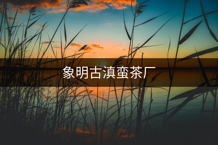 象明古滇蠻茶廠
