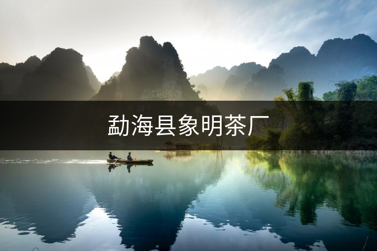 勐?？h象明茶廠