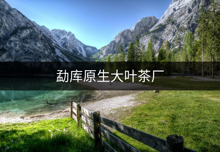 勐庫(kù)原生大葉茶廠