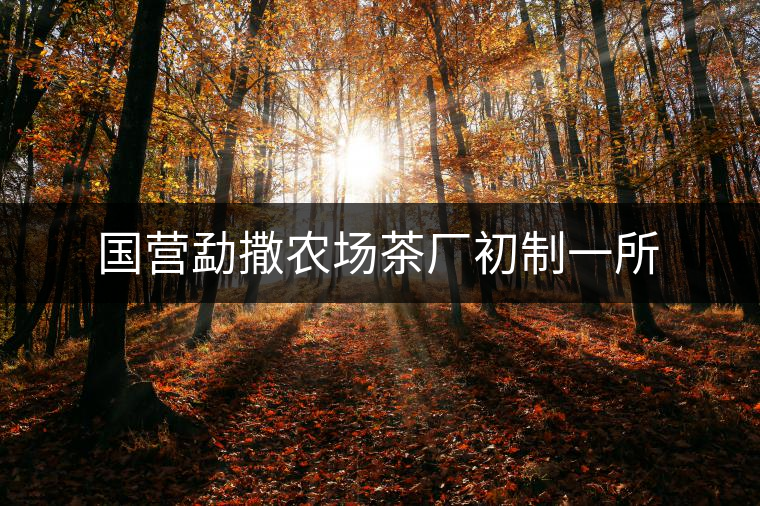 國營(yíng)勐撒農(nóng)場(chǎng)茶廠初制一所 國營(yíng)勐撒農(nóng)場(chǎng)茶廠初制一所