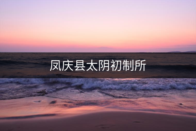 鳳慶縣太陰初制所