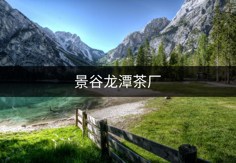 景谷龍?zhí)恫鑿S