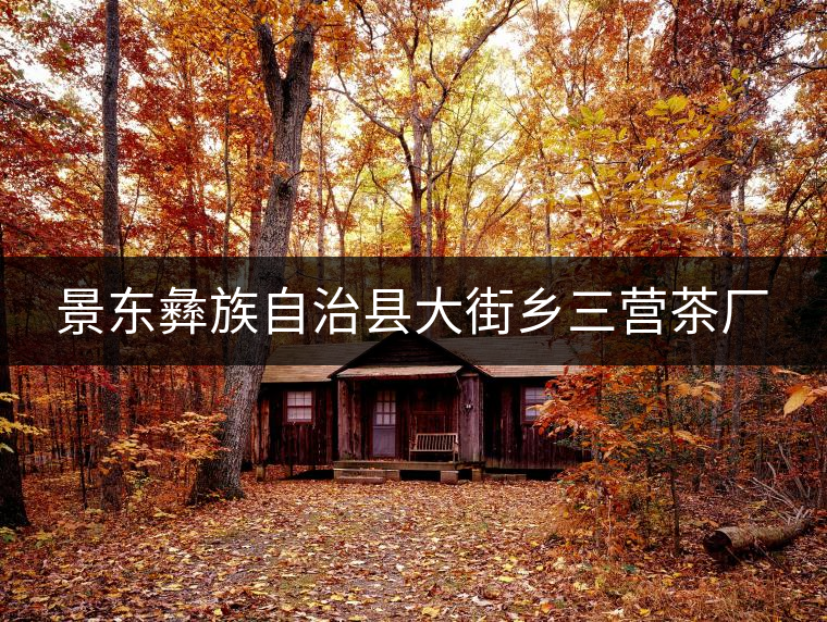 景東彝族自治縣大街鄉(xiāng)三營茶廠 景東彝族自治縣大街鄉(xiāng)三營茶廠