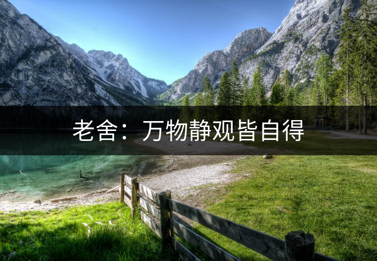 老舍:萬物靜觀皆自得 老舍:萬物靜觀皆自得