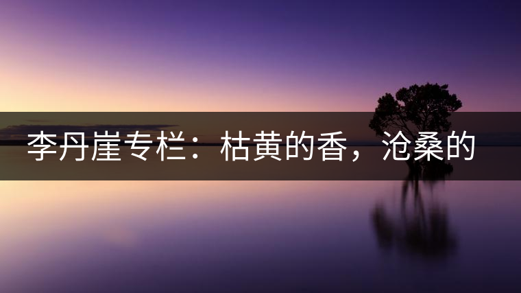 李丹崖專欄：枯黃的香，滄桑的暖