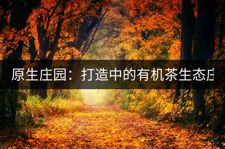 原生莊園：打造中的有機茶生態(tài)莊園（一）