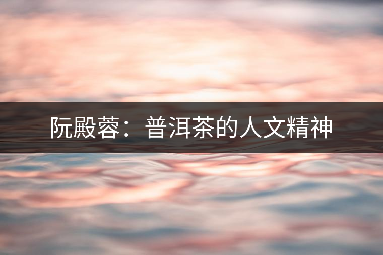 阮殿蓉：普洱茶的人文精神