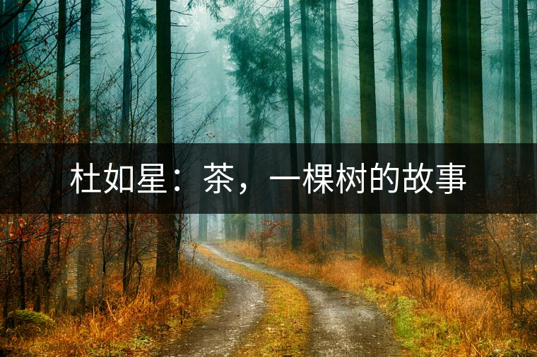杜如星：茶，一棵樹的故事