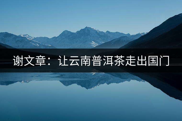 謝文章:讓云南普洱茶走出國門 謝文章:讓云南普洱茶走出國門