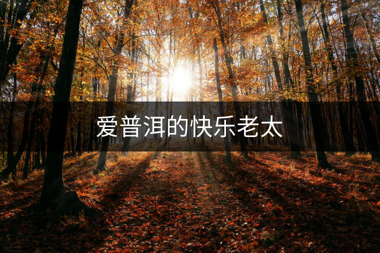 愛普洱的快樂(lè)老太 愛普洱的快樂(lè)老太