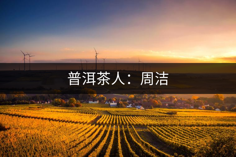普洱茶人:周潔 普洱茶人:周潔