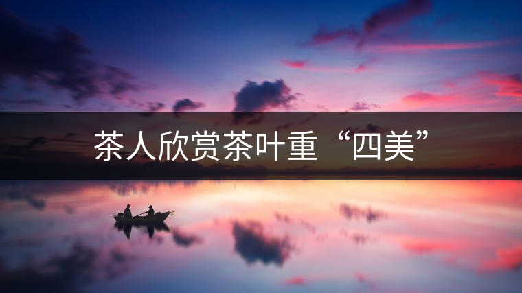 茶人欣賞茶葉重“四美” 茶人欣賞茶葉重“四美”