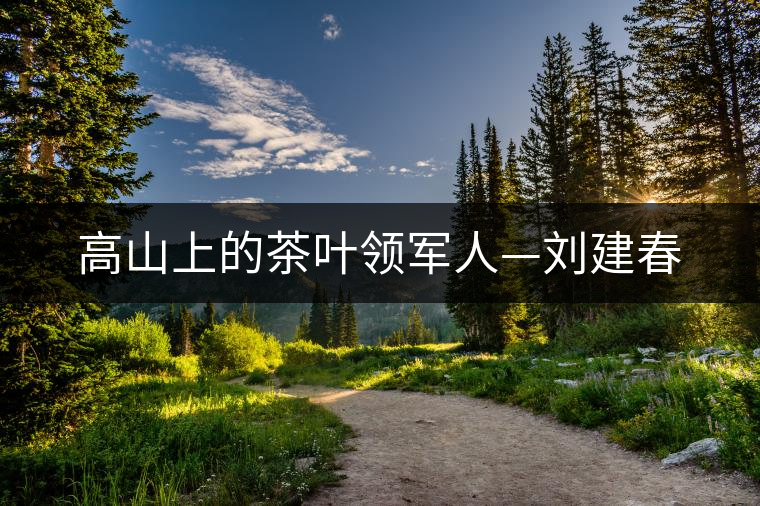 高山上的茶葉領(lǐng)軍人—劉建春 高山上的茶葉領(lǐng)軍人—劉建春