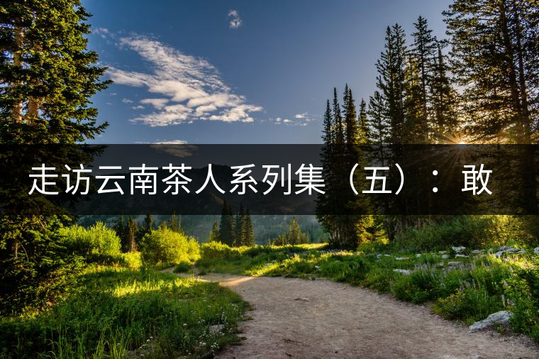 走訪云南茶人系列集（五）：敢教“春芽”變“普洱”——王樹文