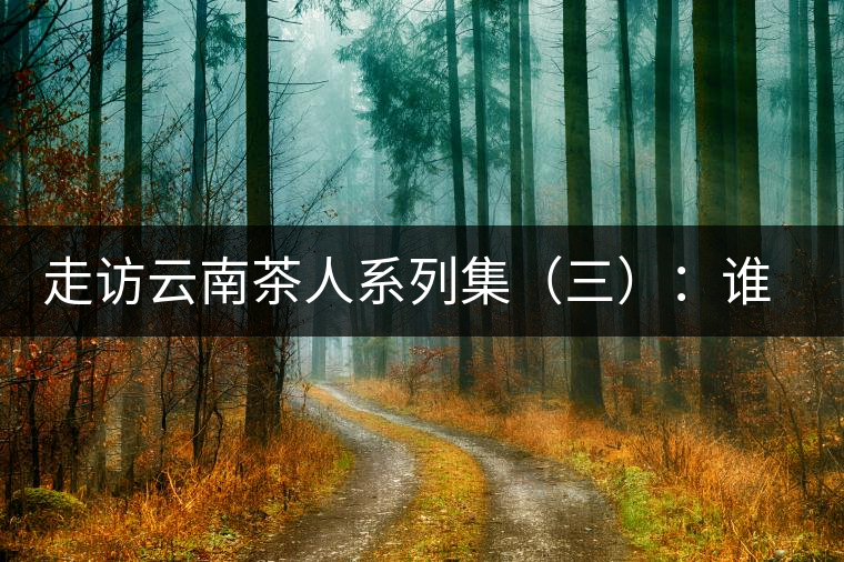 走訪云南茶人系列集（三）：誰說普洱不產(chǎn)茶？——張順高