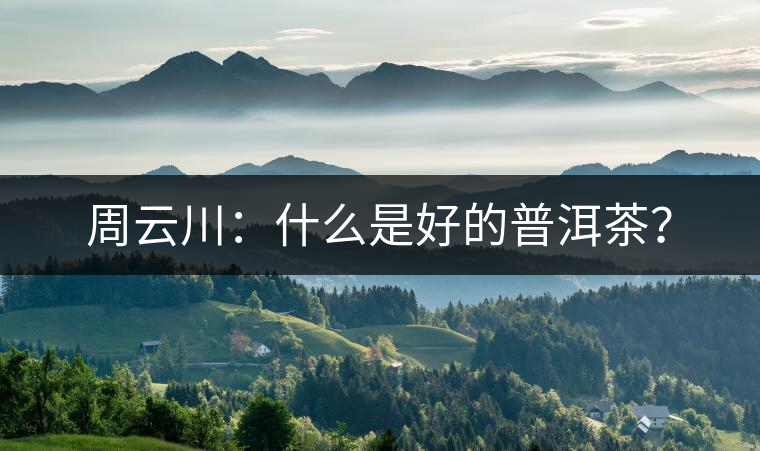 周云川：什么是好的普洱茶？