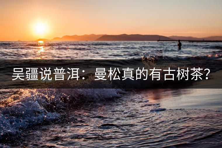 吳疆說普洱：曼松真的有古樹茶？