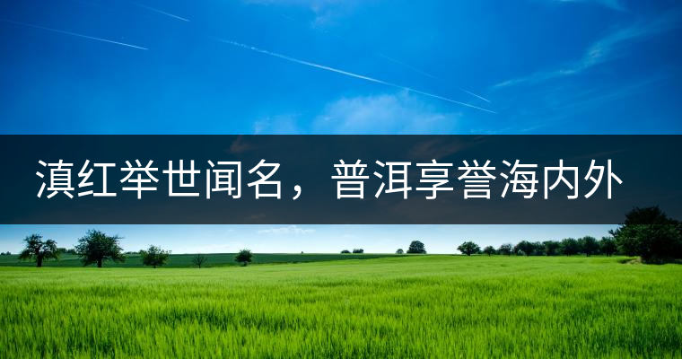滇紅舉世聞名，普洱享譽(yù)海內(nèi)外丨專家座談——虞富蓮