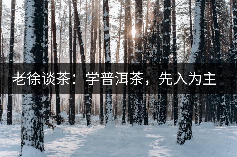 老徐談茶：學(xué)普洱茶，先入為主易被打臉，還得實(shí)踐出真知！