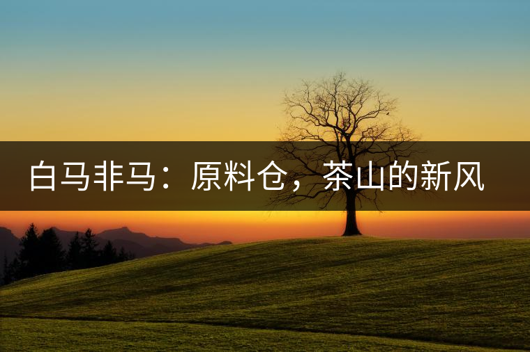白馬非馬：原料倉，茶山的新風(fēng)景