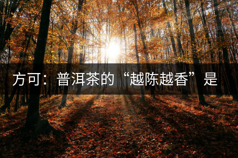 方可：普洱茶的“越陳越香”是有條件、有技術(shù)的