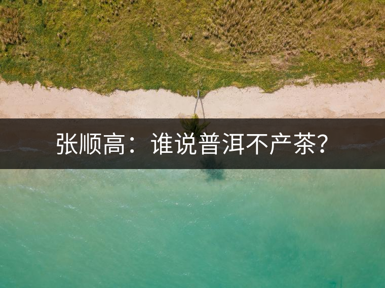 張順高：誰(shuí)說(shuō)普洱不產(chǎn)茶？