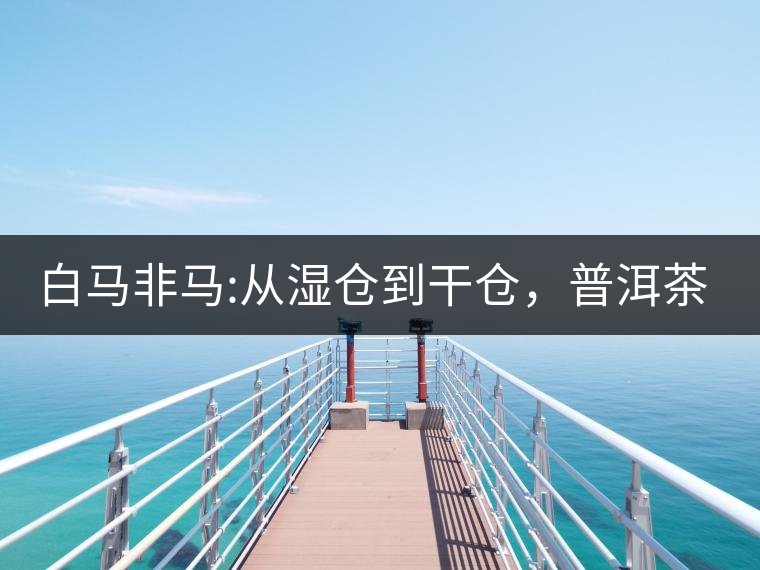 白馬非馬:從濕倉(cāng)到干倉(cāng)，普洱茶倉(cāng)儲(chǔ)的進(jìn)化史