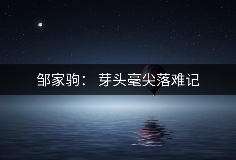 鄒家駒： 芽頭毫尖落難記