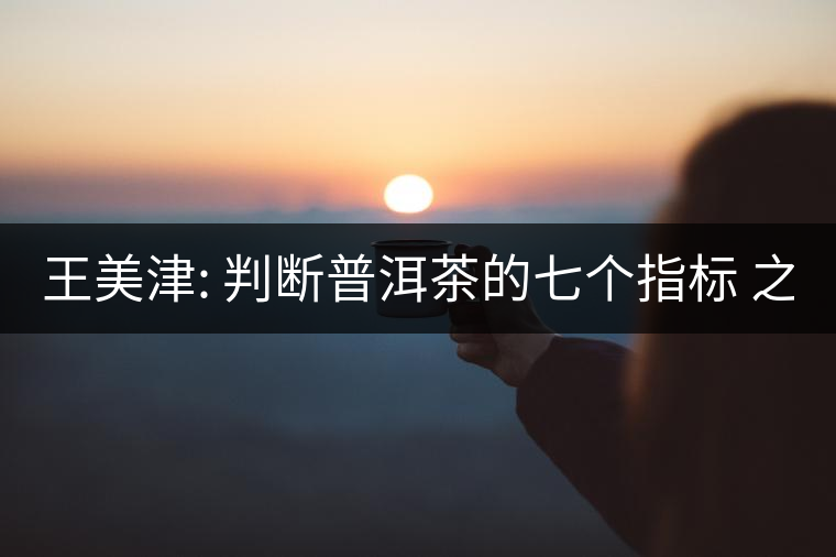 王美津: 判斷普洱茶的七個指標(biāo) 之七: 韻 王美津: 判斷普洱茶的七個指標(biāo) 之七: 韻