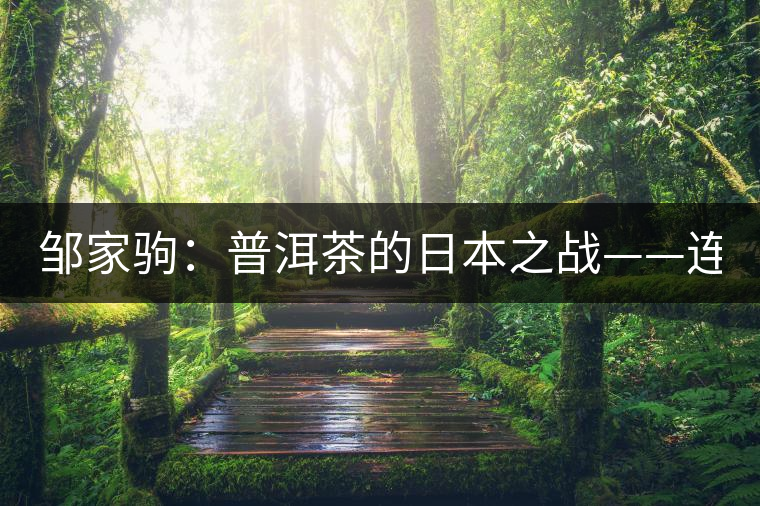 鄒家駒：普洱茶的日本之戰(zhàn)——連載（二）