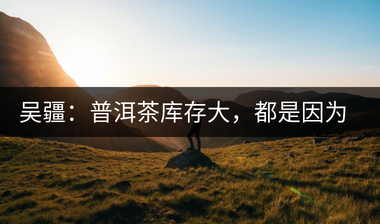 吳疆:普洱茶庫存大,都是因?yàn)椤霸疥愒较恪? alt=